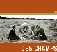 Des champs