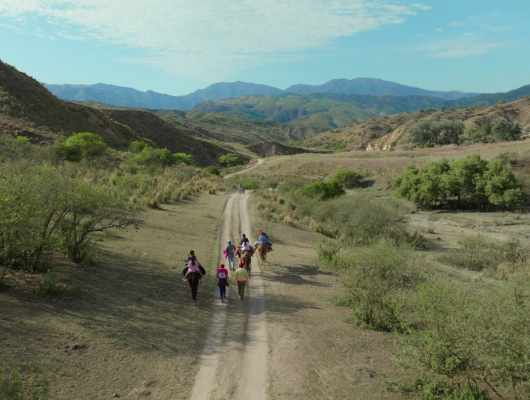 Cycle Justice(s) - Projection "Nuestra Tierra"
