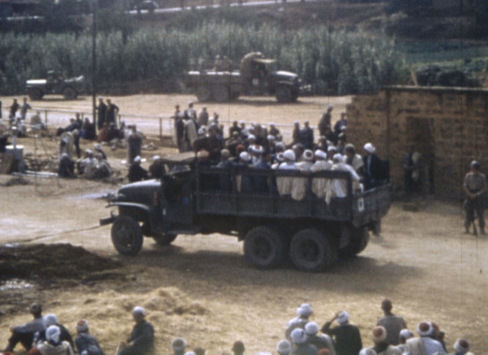 Algérie, le grand déracinement