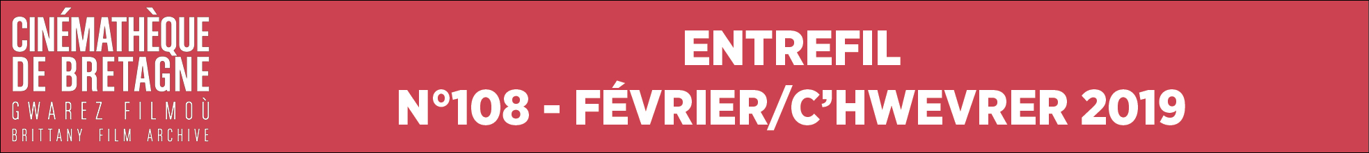 Newsletter N°108 - Février/C'hwevrer 2019