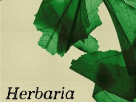 Projection "Herbaria" de Leandro Listorti