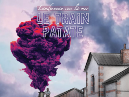 Ciné-concert "Landerneau vers la mer"