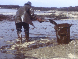 "Des racines et des ailes : Les passionnés du littoral : du bassin d'Arcachon au nord de la Bretagne"