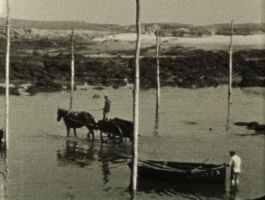 Mémoire locale - "Visages du Pays d'Iroise"