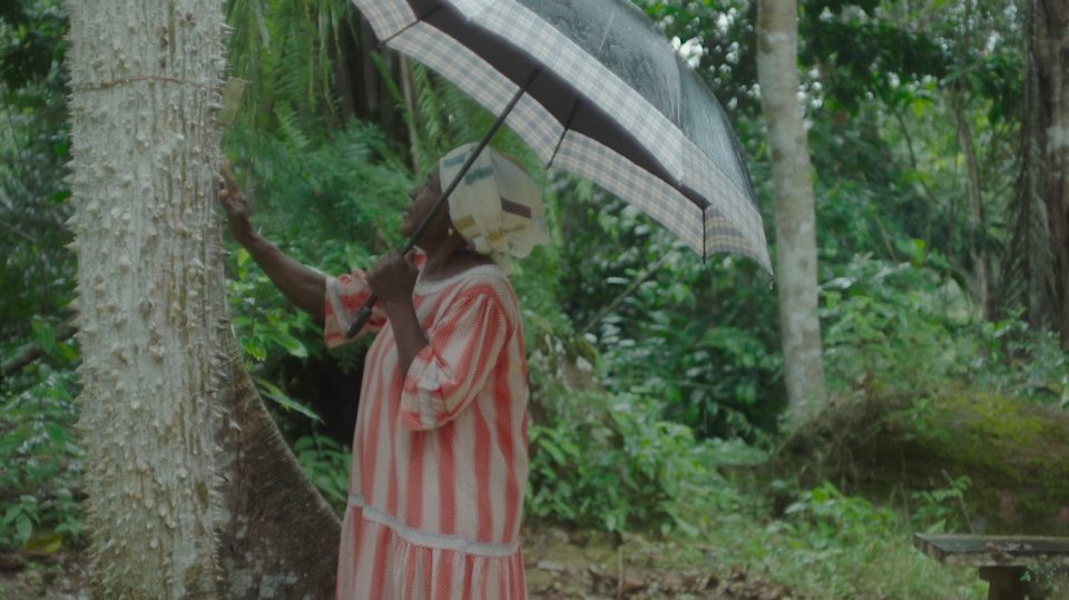 Ethnographik Cinéma : Transmission #2