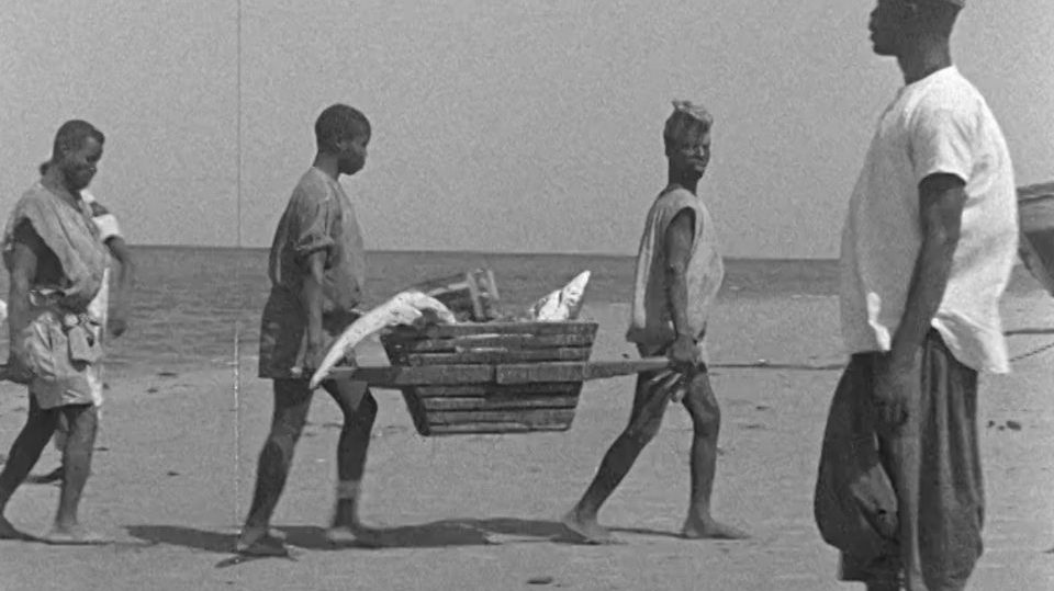  Les mardis de la Cinémathèque : Anita Conti