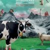 Festival de cinéma de Douarnenez : "Palabre : L’utilisation des archives filmiques dans le cinéma"