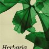 Projection "Herbaria" de Leandro Listorti 
