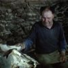 Exposition : "Les archives sortent du bois - L'histoire des forêts dans les Côtes d'Armor"