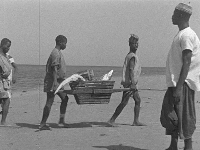 Projection "Anita Conti, un regard précurseur sur les mers et les océans"