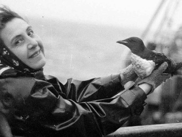 Anita Conti  fonds Anita Conti Archives de Lorient  v2.jpg