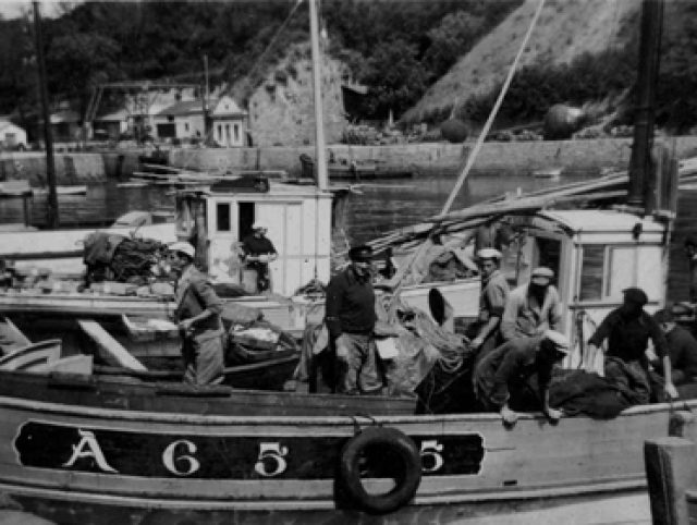 Belle-île 1950, les années sardines
