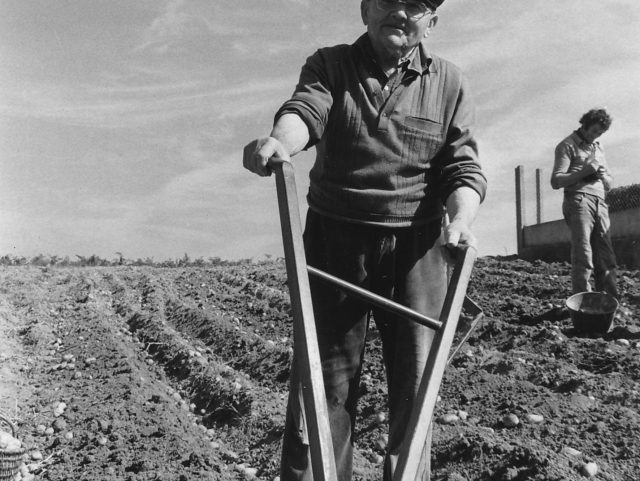 Mémoire filmée du Pays de Redon, un an après : le cinéma de Daniel Cheval