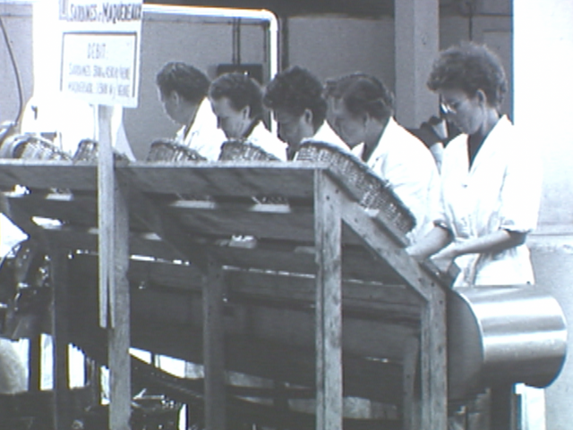 Ciné-concert "Penn Sardin"