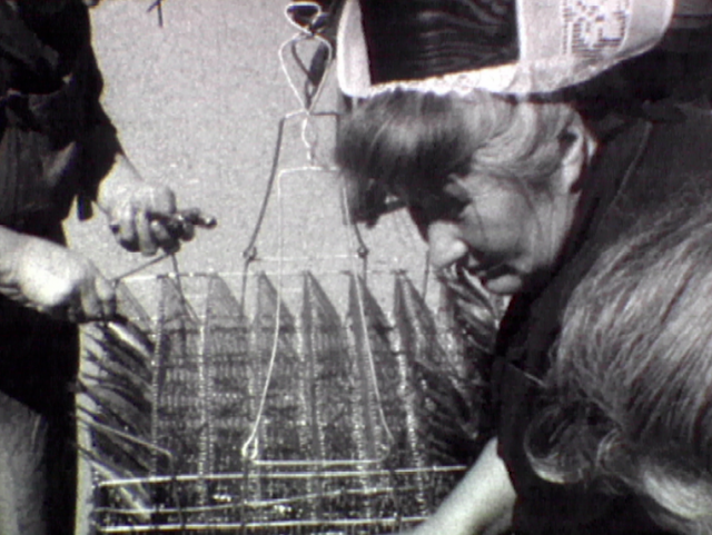 Festival Fécamp Grand Escale : projection du film "Conserverie de poisson - De l'atelier à l'usine" d'Alain Pichon