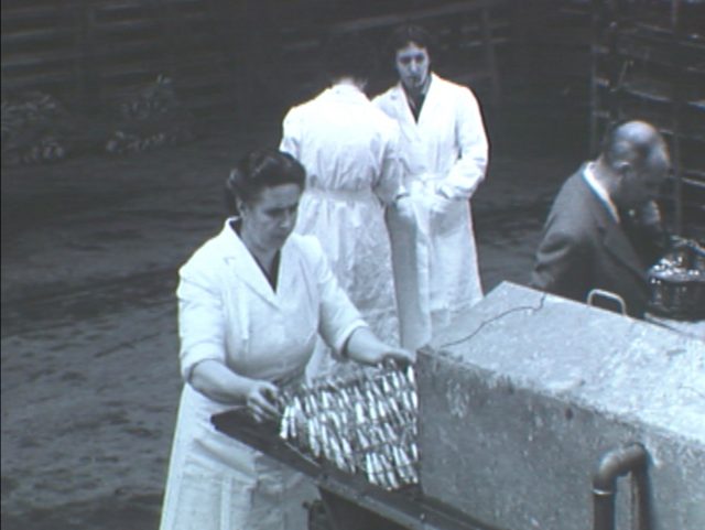 Femmes au travail Conserverie André Garnier  1 .jpg