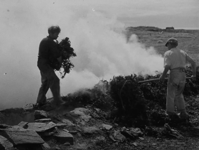 Fêtes maritimes de l'Aber Wrac'h : ciné-concert "En marge de Goémons"