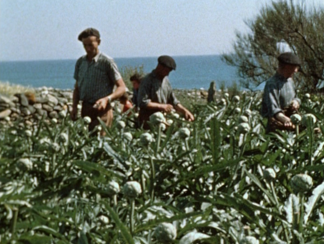 Les agriculteurs de Monique et Robert Gessain  2 .png
