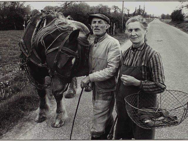 Devezhioù ar glad : skignadenn "De la terre à l'usine : une histoire de Citroën"