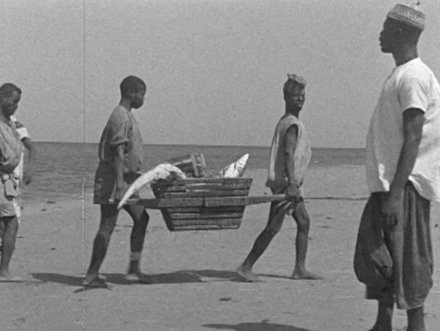 Gouel ar filmoù "Confrontations" : skignadenn "Anita Conti, un regard précurseur sur les mers et les océans"