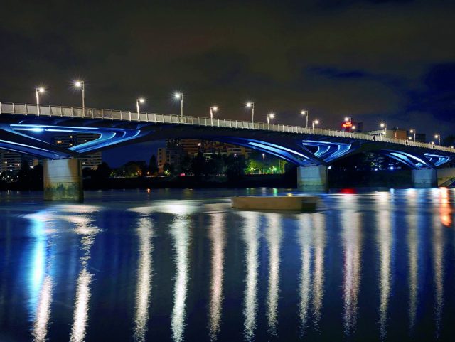 Pont Senghor nuit2 Ville de NantesLight.jpg