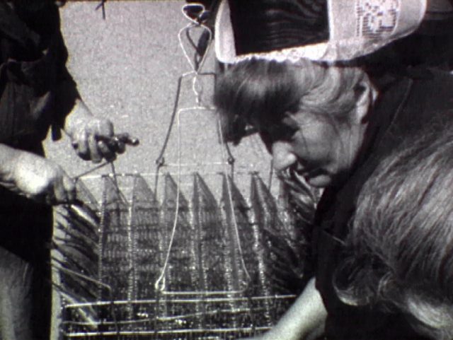 Projection "Conserveries de poissons - De l'atelier à l'usine"