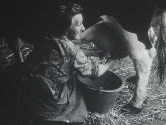 Nuit des Musées / Cinéma en plein air : "Moi, agricultrice"