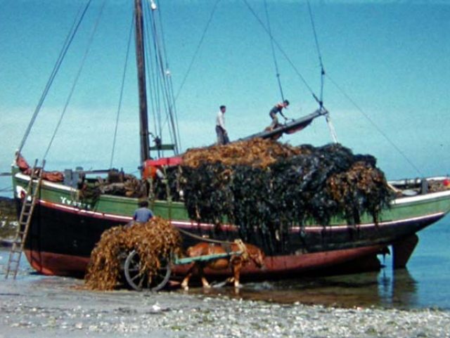 Mémoire Locale : Images des Rives de l'Aber Ildut