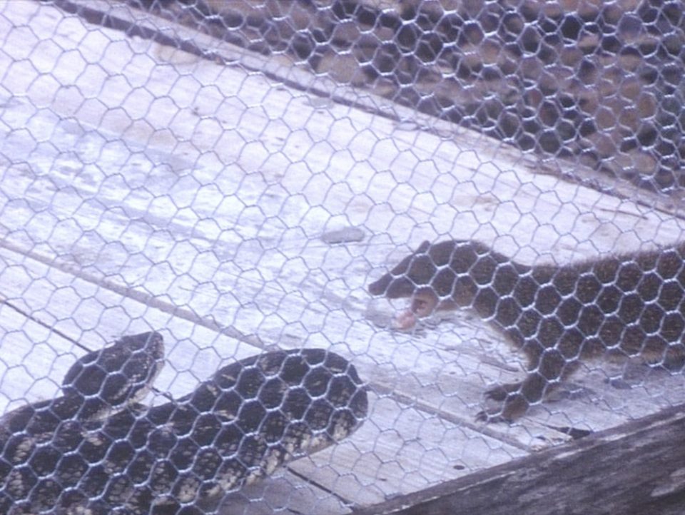 Exposition : "Bet’long"