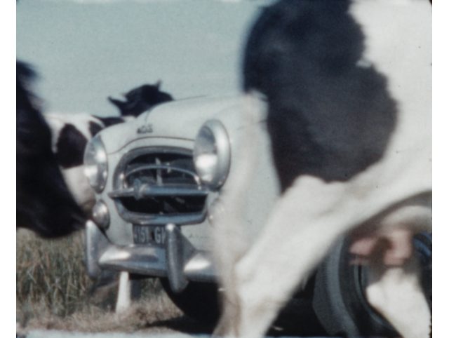 Replay : "Vroum - Une brève histoire de l'automobile"