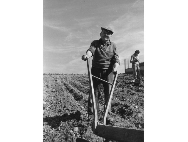 Mémoire filmée du Pays de Redon, un an après : le cinéma de Daniel Cheval