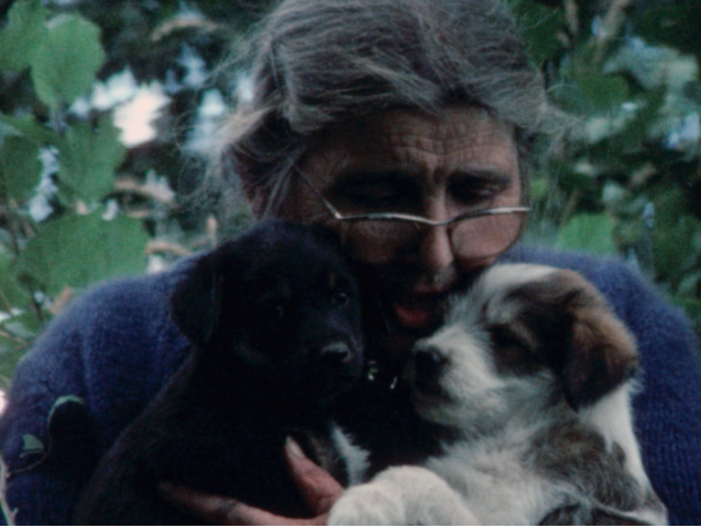 Projection du film "Le chant de la terre"