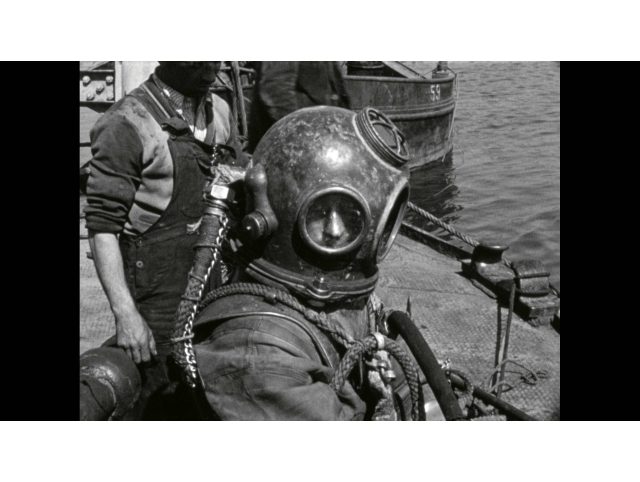 Entre deux eaux : des abysses à la surface