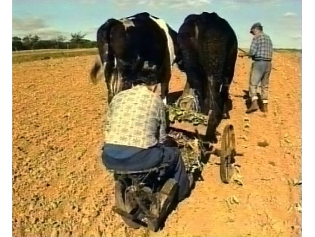 Mémoire filmée du Pays de Redon, un an après : Didier Haslé, cinéaste ethnologue