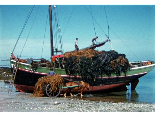 Semaine bleue : Mémoire filmée des cantons de St Renan et de Lampaul-Plouarzel