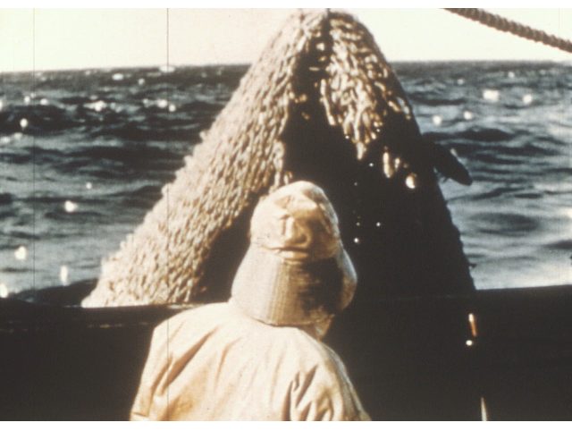 Expositions : "Jean Gaumy et la mer" et "La pêche au delà du cliché"