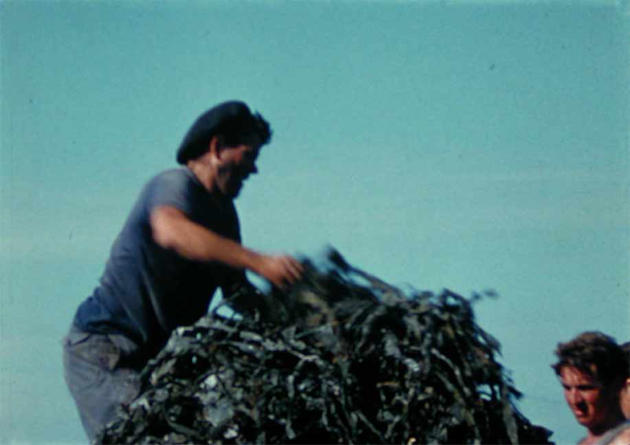 Projection de films sur les goémoniers issus des fonds de la Cinémathèque de Bretagne avant un repas de la mer.