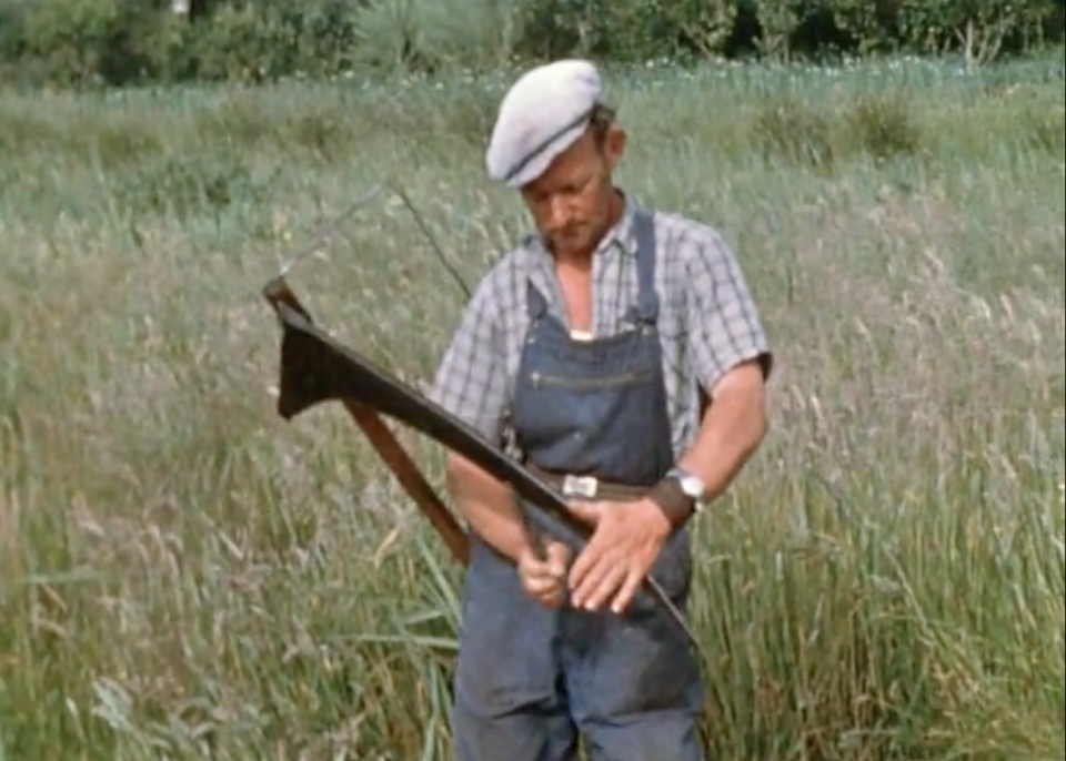 Ciné-rencontre "L'agriculture, une histoire bien vivante !"