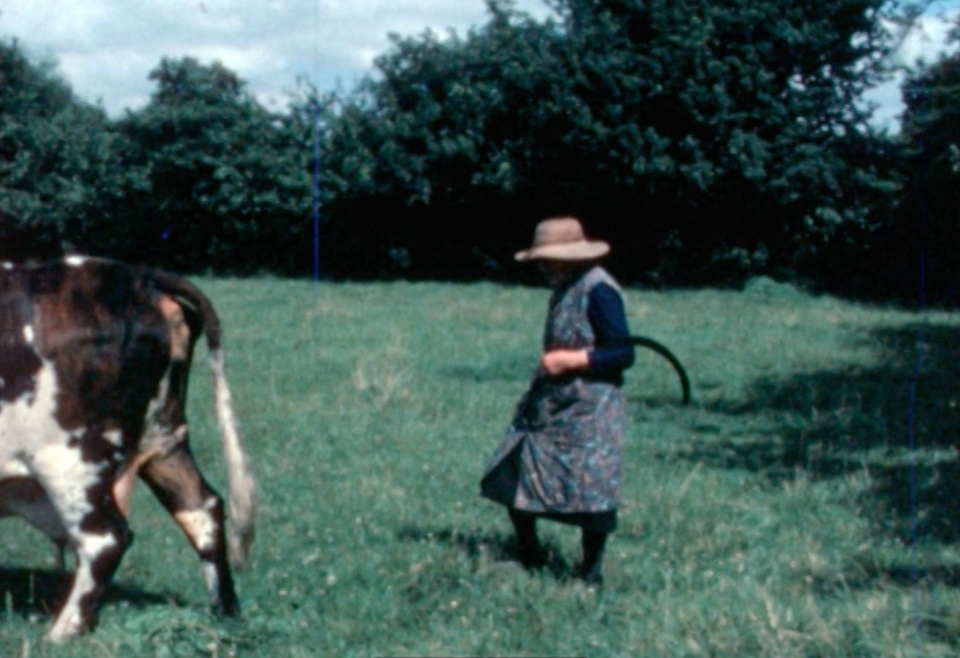 THEMATEK : projection "Retour des femmes à la terre"