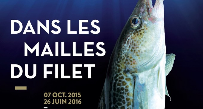 Dans les mailles du filet