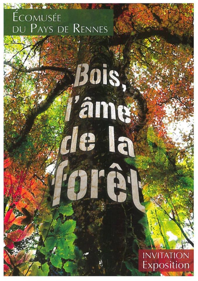 Bois, l'âme de la forêt