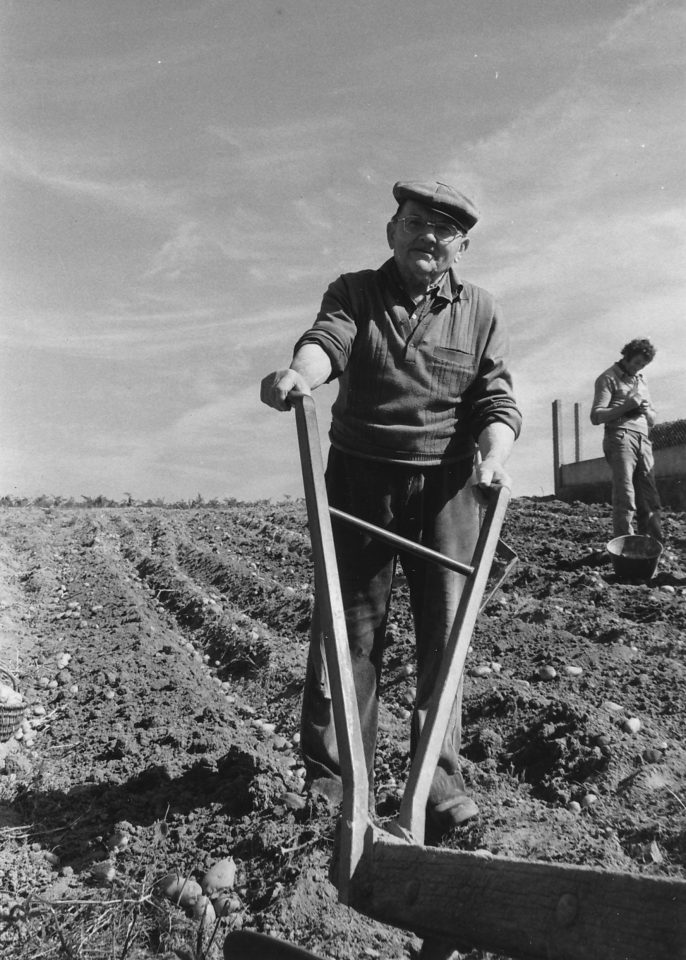 Mémoire filmée du Pays de Redon, un an après : le cinéma de Daniel Cheval