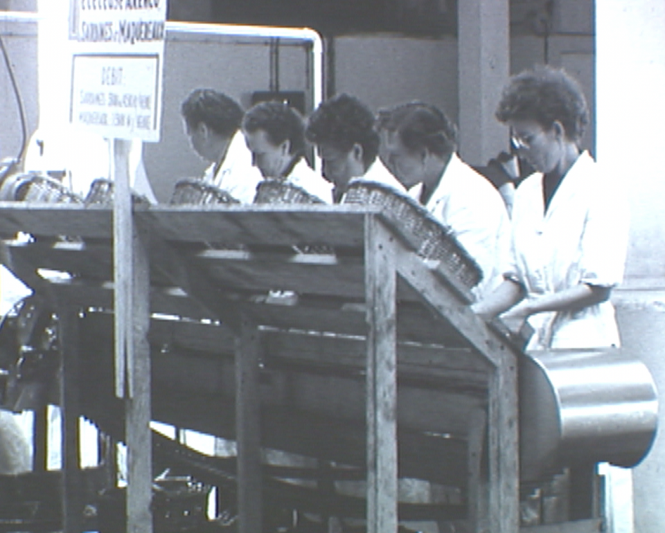 Sine-sonadeg "Penn Sardin"