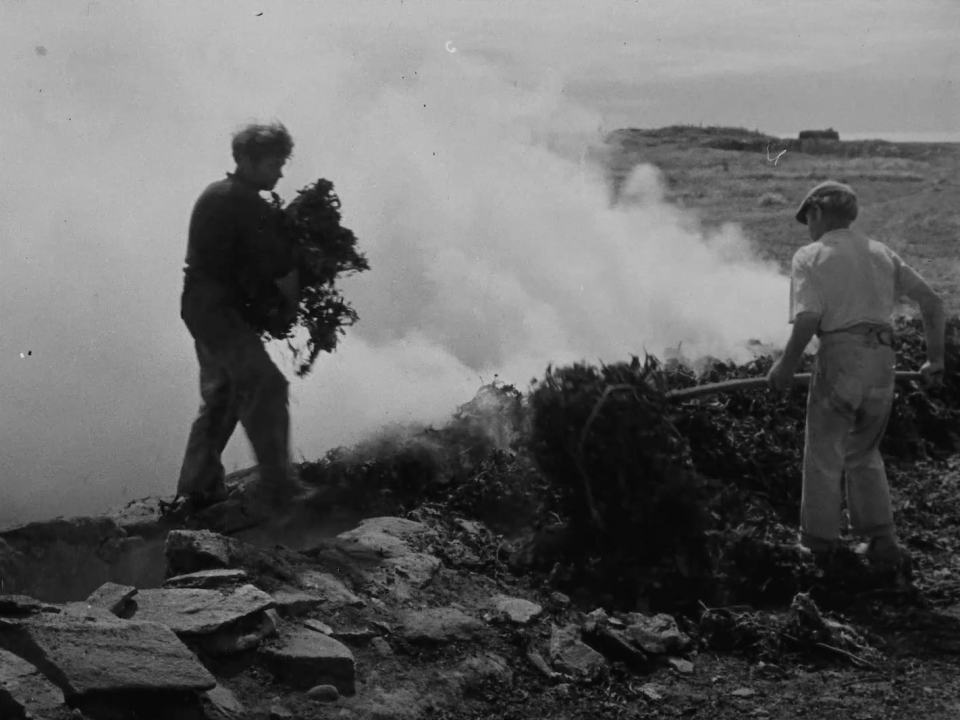 Fêtes maritimes de l'Aber Wrac'h : ciné-concert "En marge de Goémons"