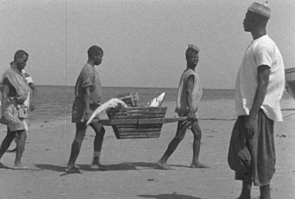 Festival Confrontation : projection "Anita Conti, un regard précurseur sur les mers et les océans"