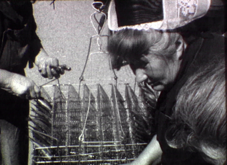 Ciné-concert du film "Conserveries de poissons - De l'atelier à l'usine"