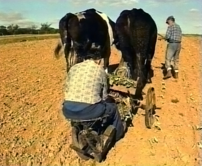 Mémoire filmée du Pays de Redon, un an après : Didier Haslé, cinéaste ethnologue