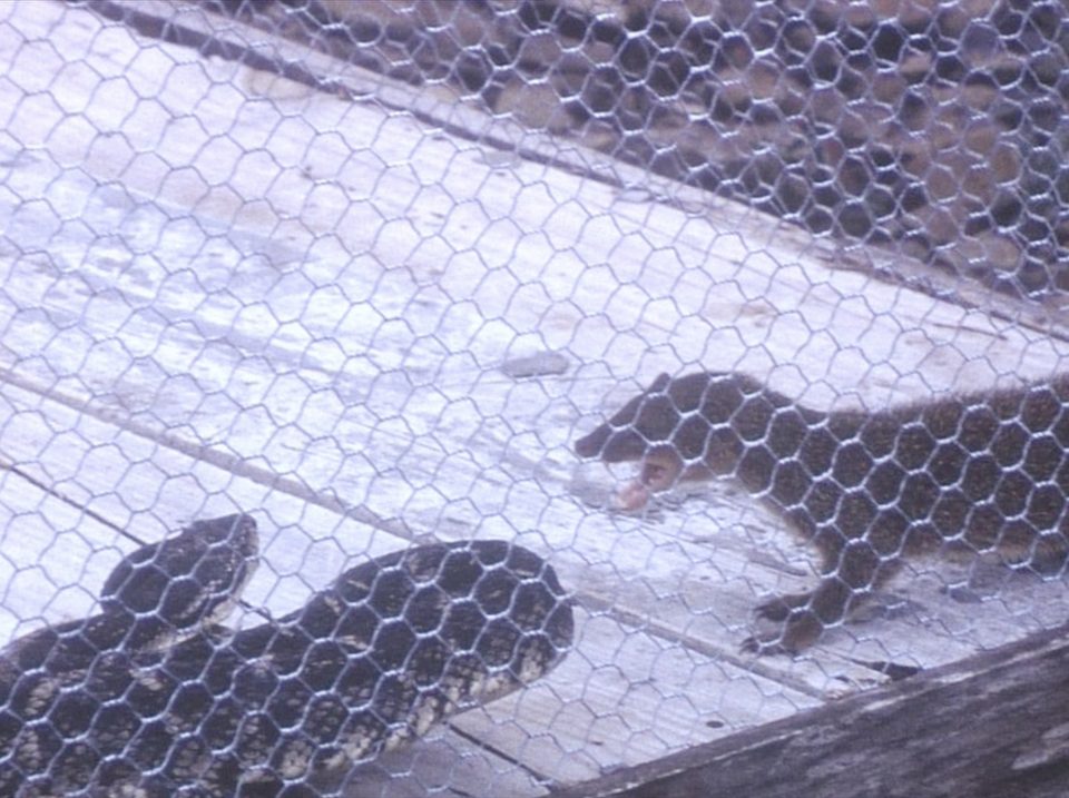 Exposition : "Bet’long"