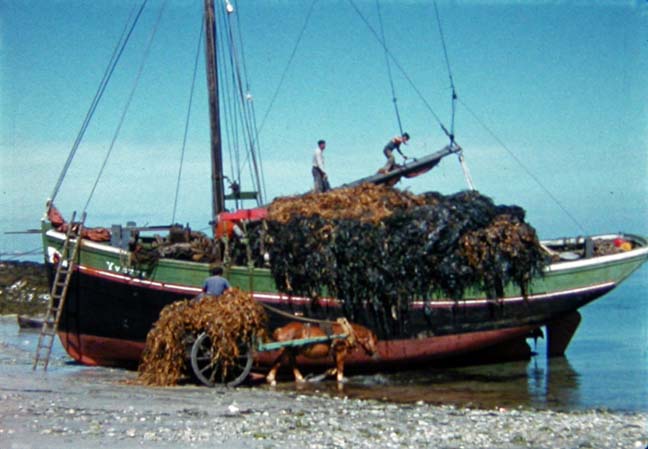 Mémoire Locale : Images des Rives de l'Aber Ildut