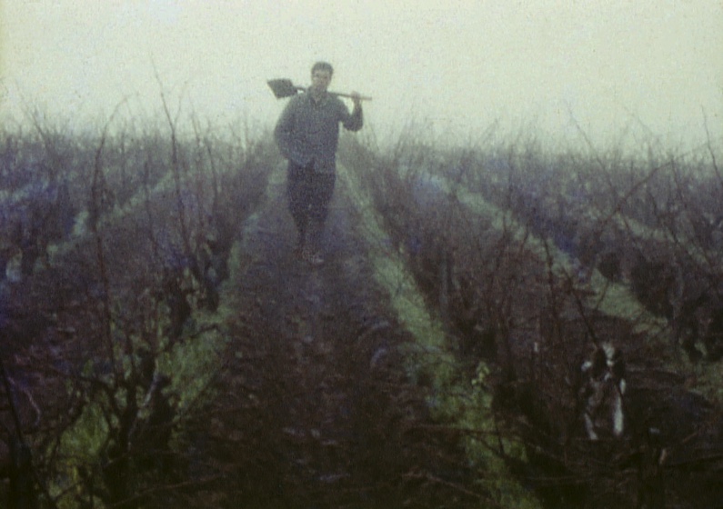 "Mémoires du pays du vignoble nantais" : présentation de la résidence documentaire